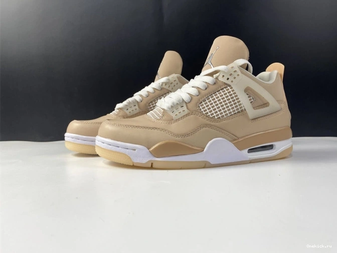 One Kick Shimmer Jordan DJ0675-200 Air 4 0804